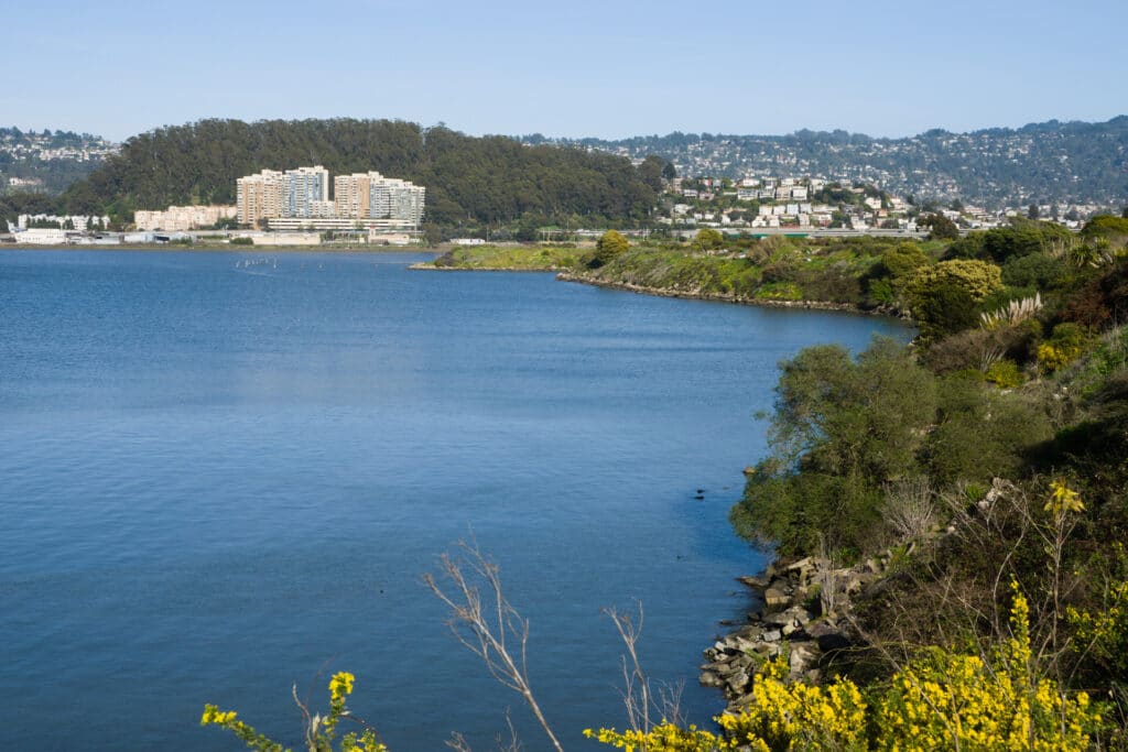 albany hill from albany bulb - vending in albany