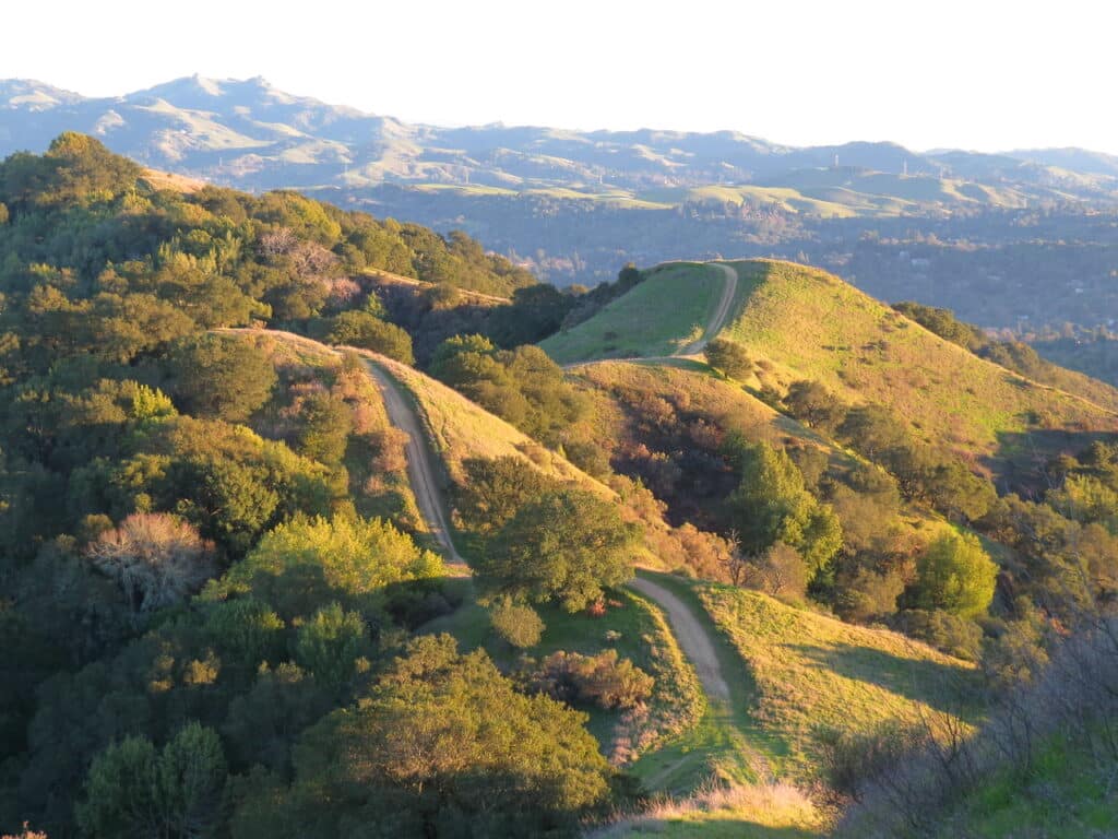 hills with trail in Lafayette, ca